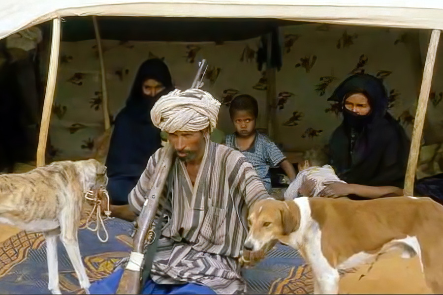 Nemadi People