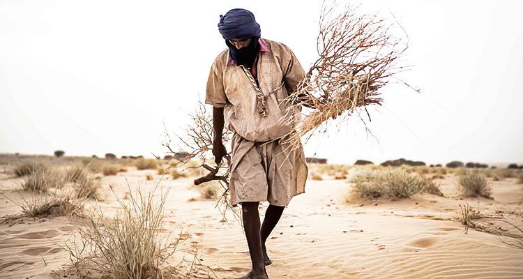 Nemadi People