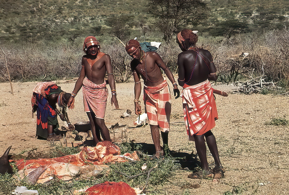 Rendille people