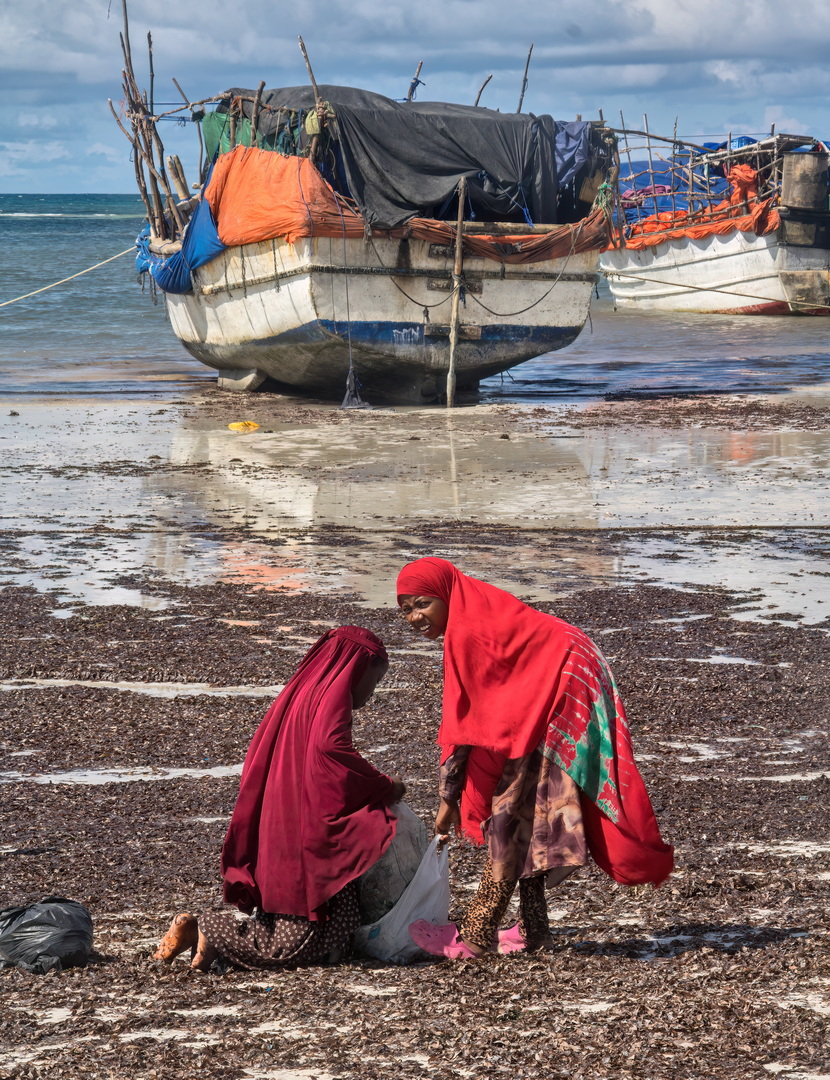 Somali People