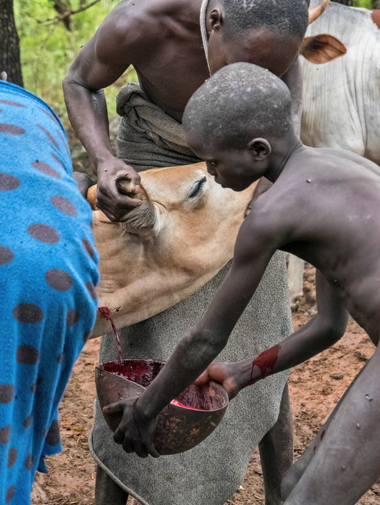 Surma People
