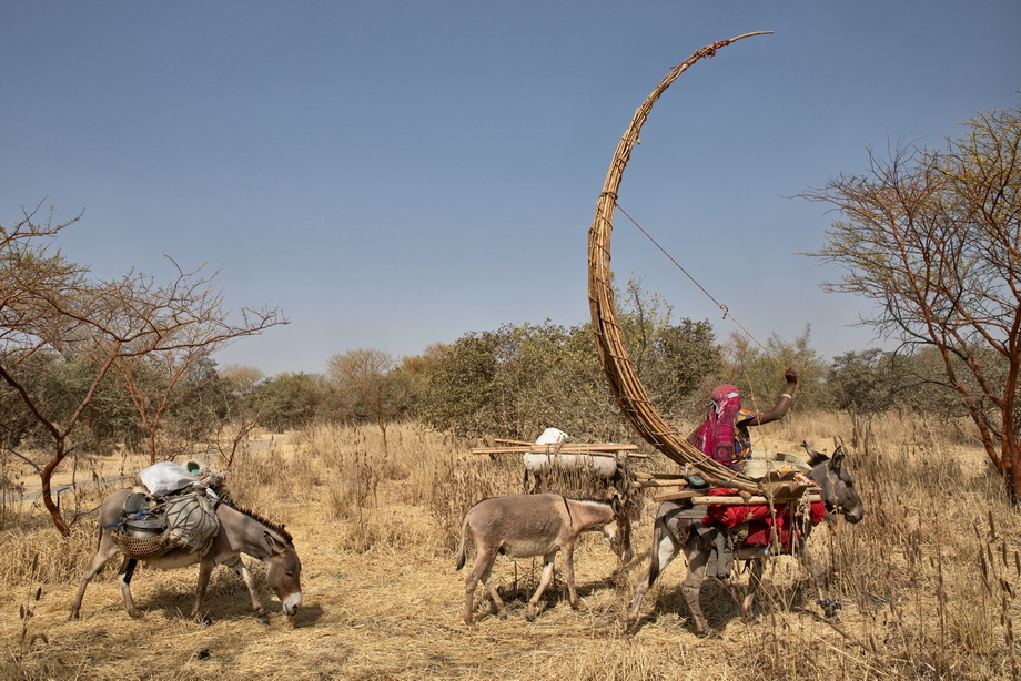 Waila People