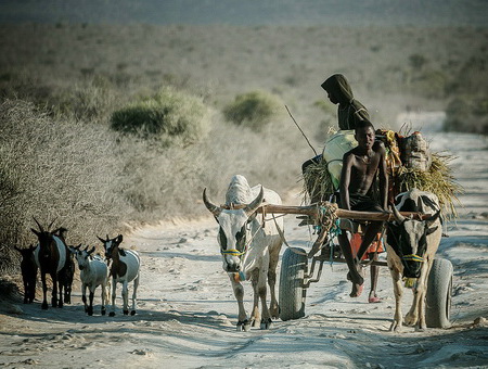Mahafaly people